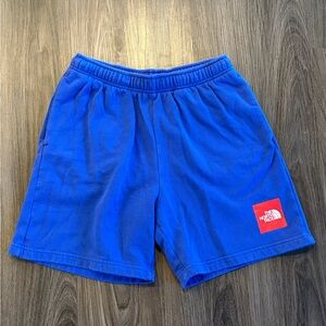 The North Face Men's Never Stop Fleece Shorts - Bolt Blue - Medium